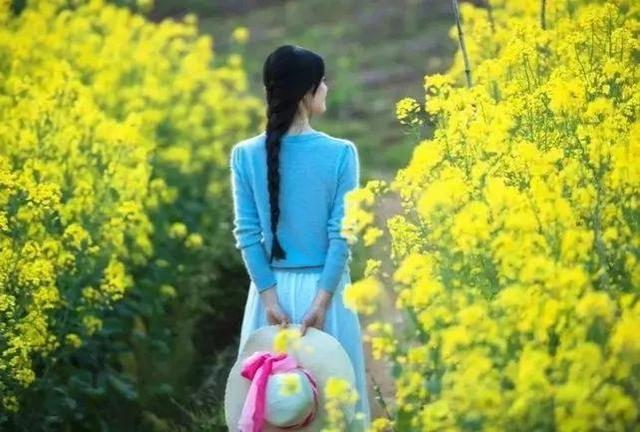 七律·春行