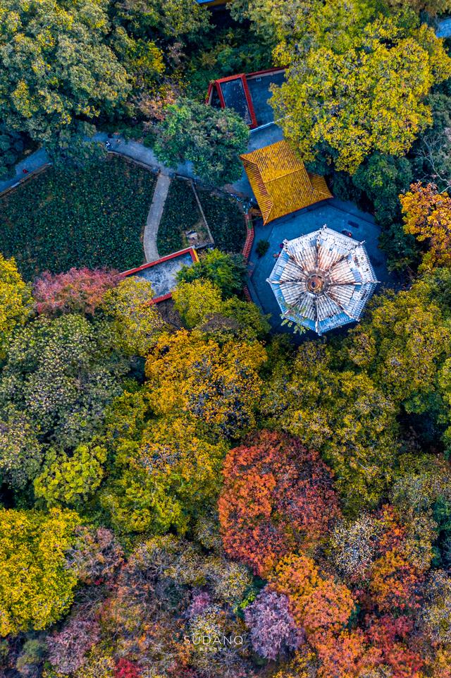 武漢寶通禅寺：在千年皇家寺院賞秋，是什麽感覺？