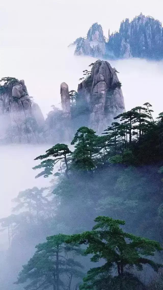 《祭灵.母亲节》
