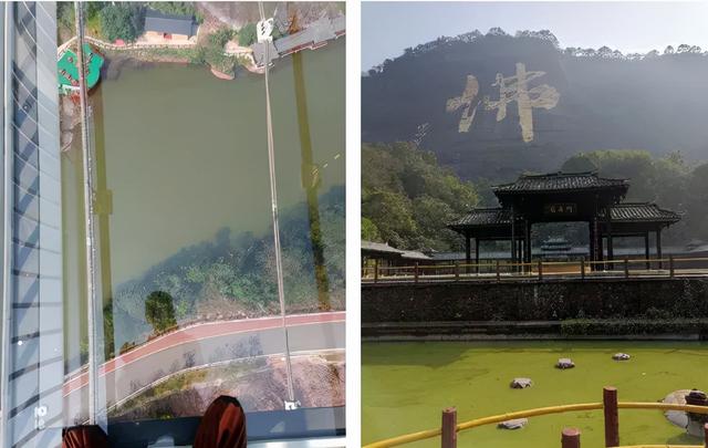 這個冬天，你應該去一趟廣西之崇左玉林靖西