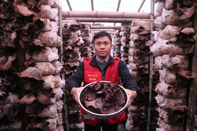 请假百分百过的理由，不想上班请假百分百成功的理由有哪些