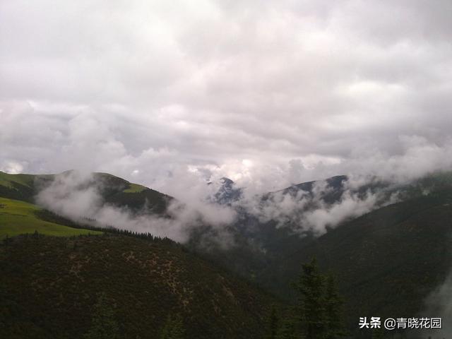 川藏騎行日志：高原之上的噩夢