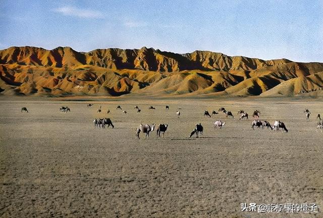 老照片：一個新西蘭人鏡頭下1956年的新疆，雄渾壯美的天山