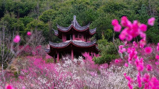 百色单螺旋洗砂分级机报价