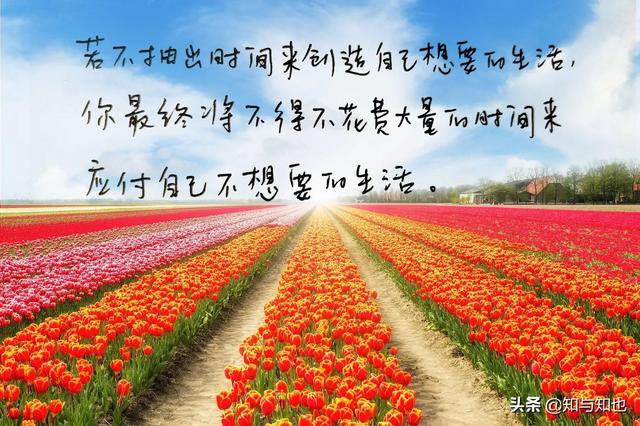 抄书82天，每日寄语6（努力创造自己想要的生活）