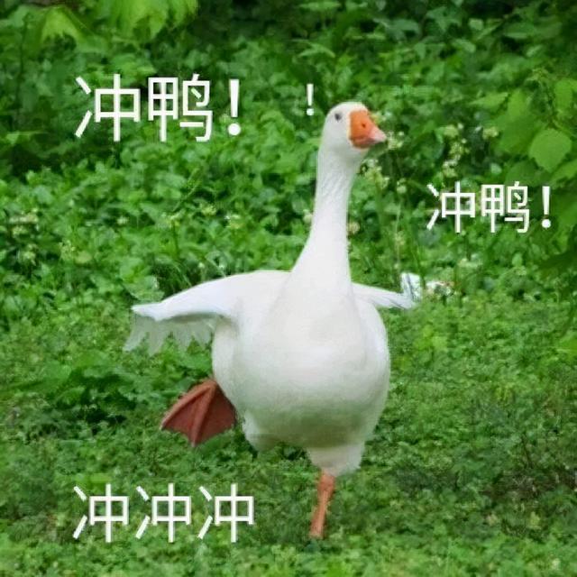 百色单螺旋洗砂分级机报价