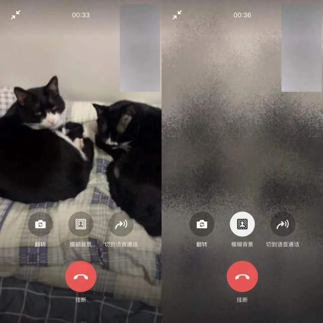 [微信云端小叮当自动跟踪转发]，微信语音怎么变成女生的声音