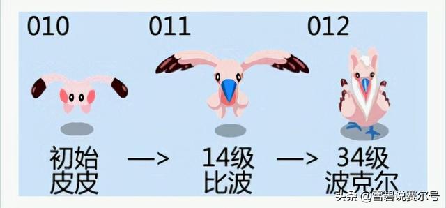 赛尔号雷纳多