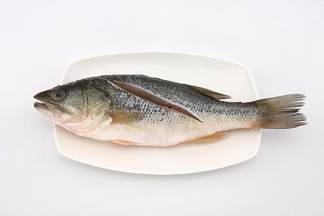 魚身上 最髒 的3個部位 含有大量細菌和寄生蟲 很多人都愛吃 Standardscollector