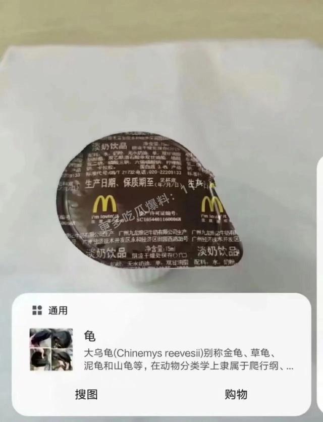 人工智能还是人工智障？