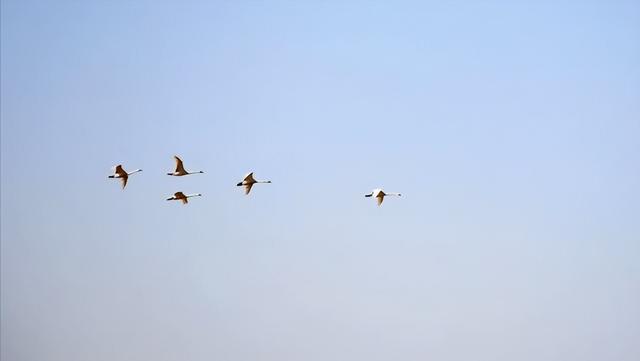 巴河穿越记