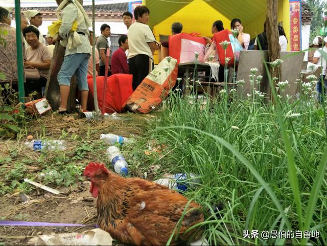 遗像放在家里哪个位置卧室行吗,遗像应该放在家里哪个位置