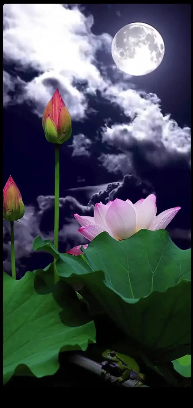 给我鼓掌掌，智慧精灵撒花了
