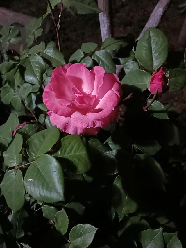 我家附近那条河
