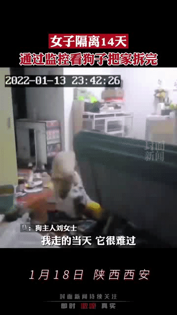 七言｜“一见你就笑”