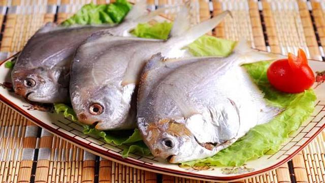 深海鱼有哪些
