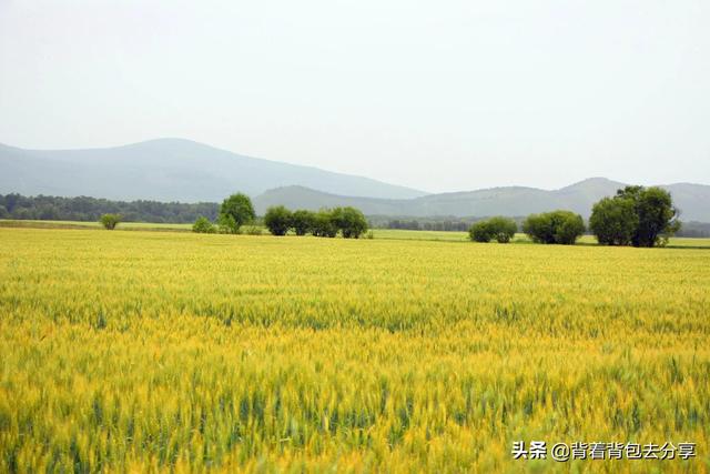 内蒙古旅游攻略必玩的景点