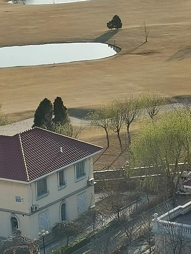 如果人生可以重来，你有后悔曾经的往事吗？