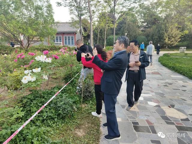 朝阳公园牡丹开 市民纷纷来打卡