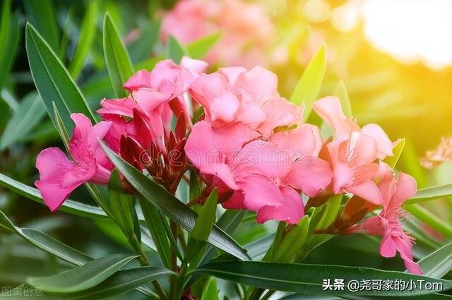 散文：断舍离是真正的快乐还是自欺欺人