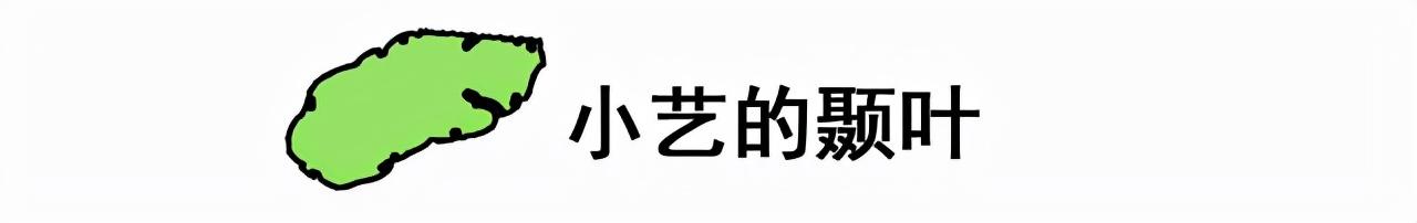 华为手机的语音助手叫什么唤醒？手机的语音助手在哪里打开