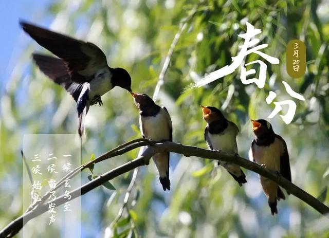 春色从此分，春光从此浓