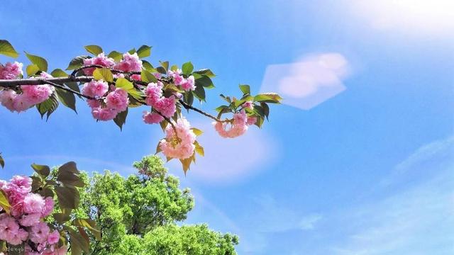 休闲时，——在诗行中行走