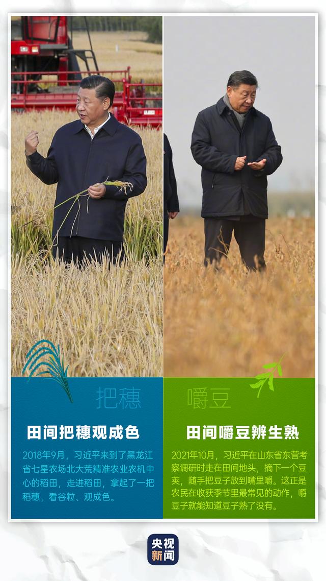 习近平的劳动情怀