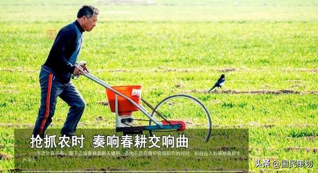 国内钾肥价格创十年新高？当务之急、“稳”字当头，调控化肥价格