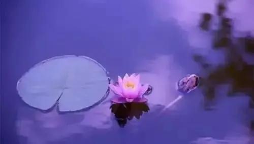人生用什么来衡量