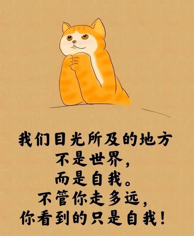 所谓的人生就是⋯