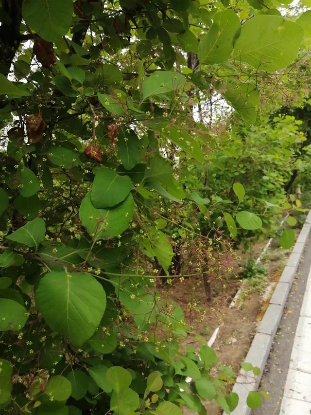 留住春日美景