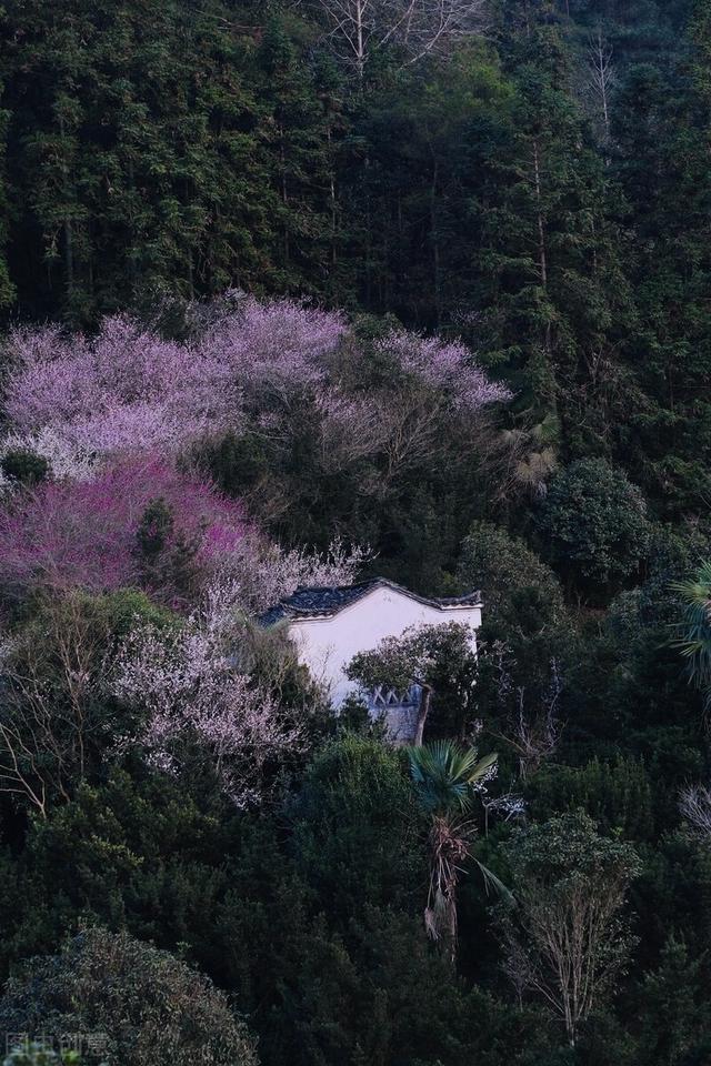 林芝展成装饰工程