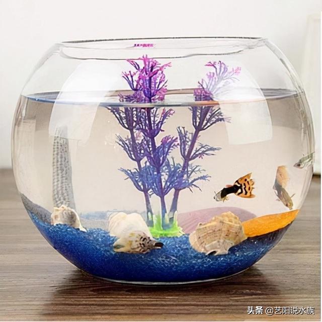 家用鱼缸增氧过滤机
