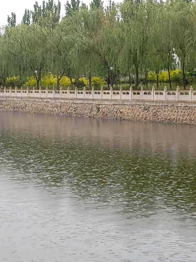 散文：雨送春归去
