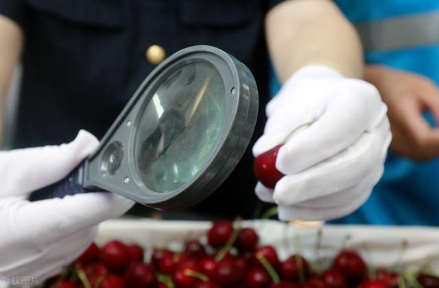 智利车厘子本季销售再遇难题，我国对“李属坏死环斑病毒”说不