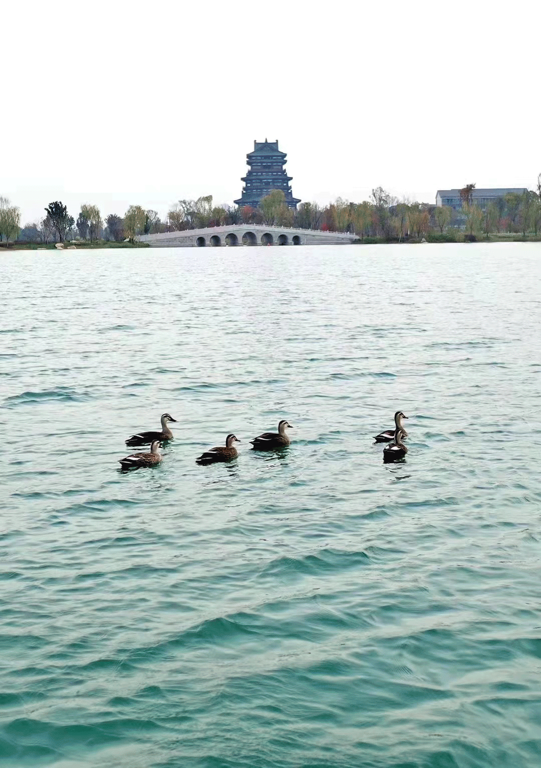 东安湖PK麓湖：成都“顶流”之间的较量