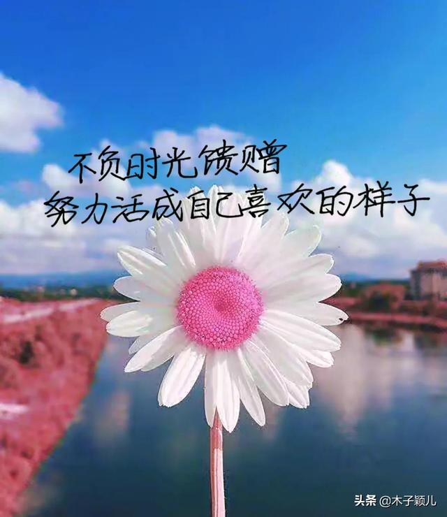 抄书有收益第27天：成为自己的太阳，不需要凭借别人的光