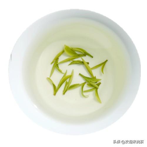 立夏之后，喝什么茶好
