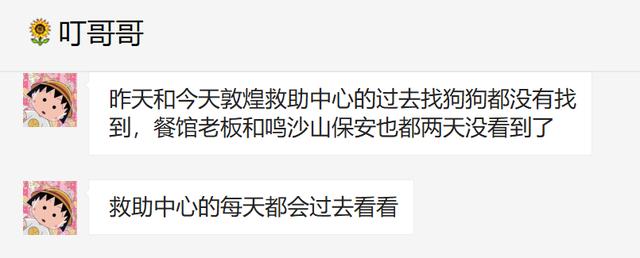這只小狗在敦煌，等了你整整兩年