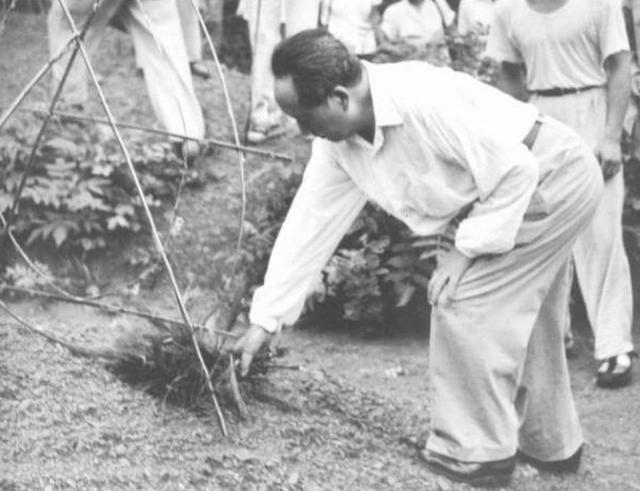 1950年任弼时去世，16位领导人手拽黄布，秘书提醒：主席，请回吧