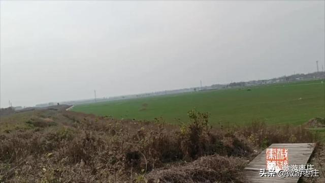 印象山東｜遊薛國故城話傳說故事