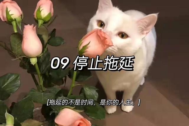 建议收藏｜《人民日报》：停止精神内耗的9个好习惯