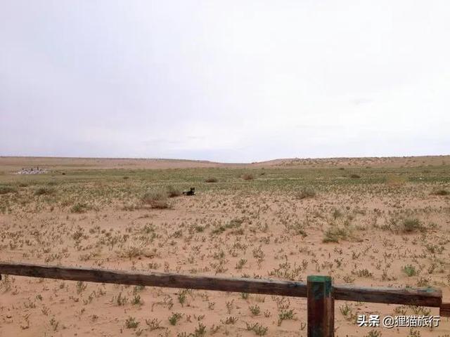 蒙古有4個戈壁省，東戈壁省、中戈壁省、南戈壁省、戈壁阿爾泰省