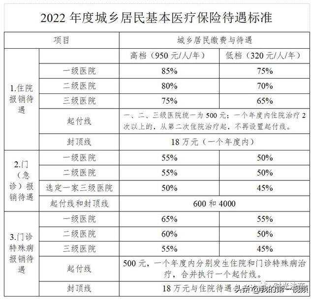 预算有限，年轻人的第一份商保这样安排