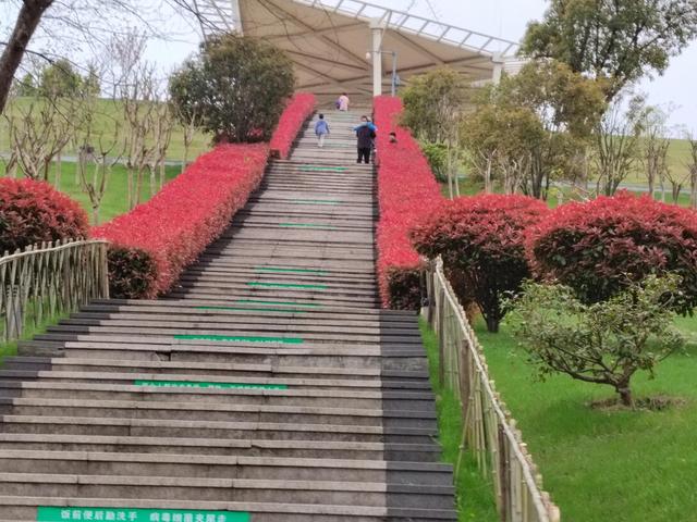 "梦中回家"