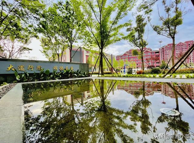 那个青少年学校好(青少年学校哪里好)(图24)