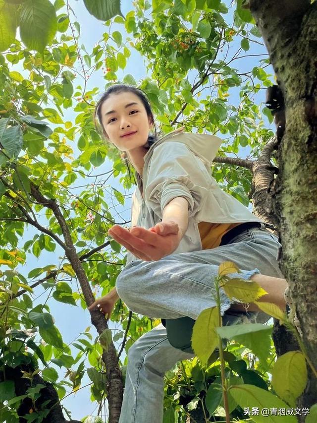 樱桃红了，梦里天天是节日