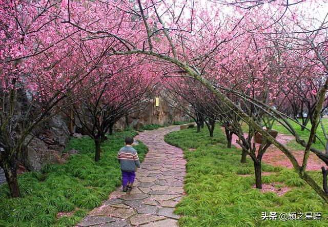 阳明温泉山庄