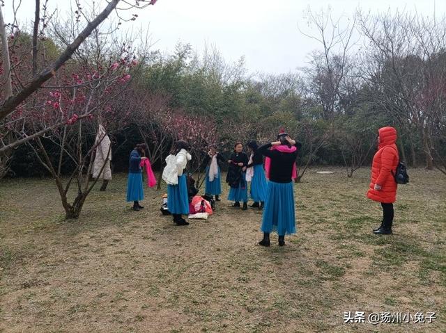 薇薇在跳舞(薇薇在跳舞视频)